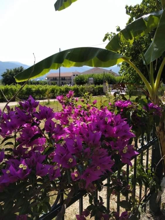 Rosegarden Villa Sami  Bagian luar foto