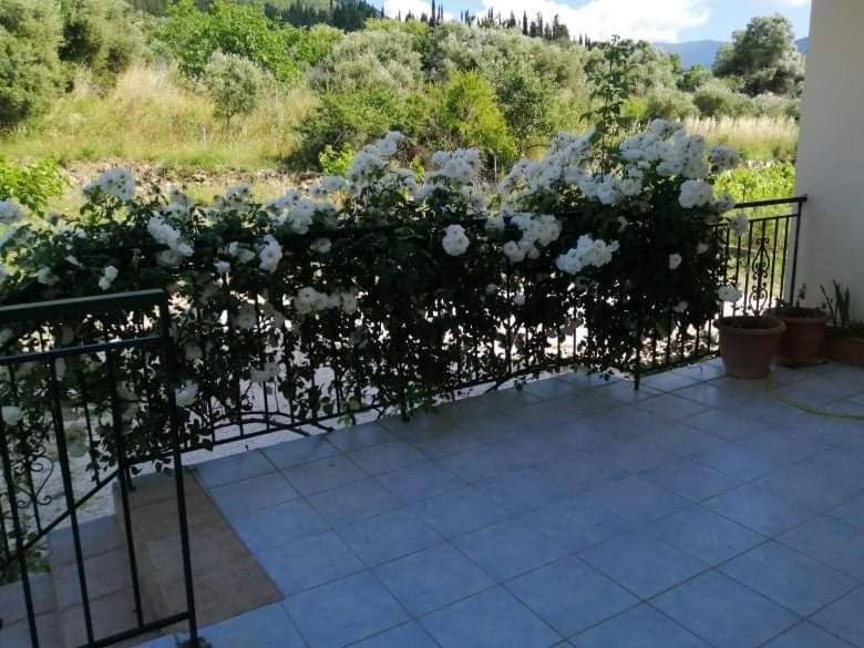 Rosegarden Villa Sami  Bagian luar foto