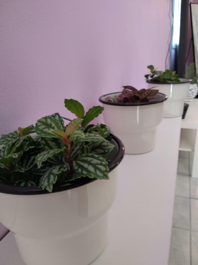 Rosegarden Villa Sami  Bagian luar foto