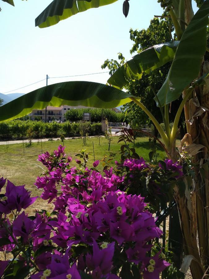 Rosegarden Villa Sami  Bagian luar foto